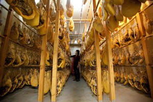 2年熟成に耐える15キロ前後のモモを取るには、体重150キロが理想。一般的な肉の出荷サイズより30キロも大きく育てる。  